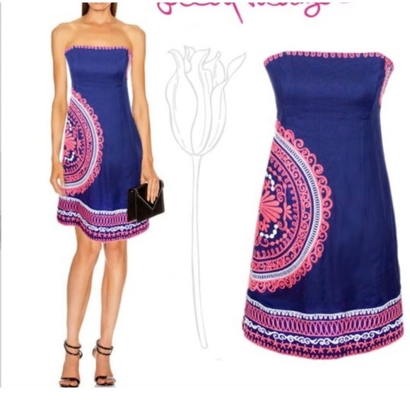 Lilly Pulitzer Bowen Strapless Embroidered Dress 10 - Picture 1 of 9